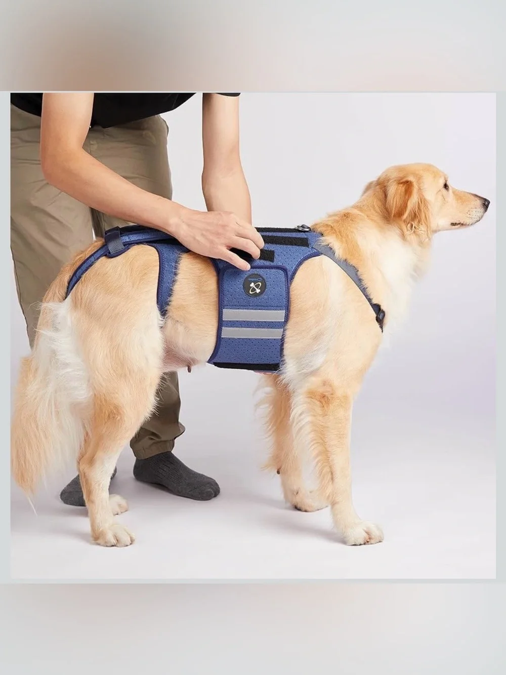 Dog Back Brace for  Arthritis, Pet Back Bracer for IVDD Back Protect 2188-1